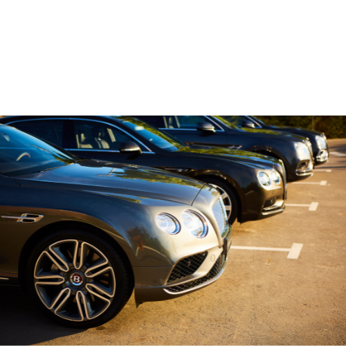 Untitled design (17)